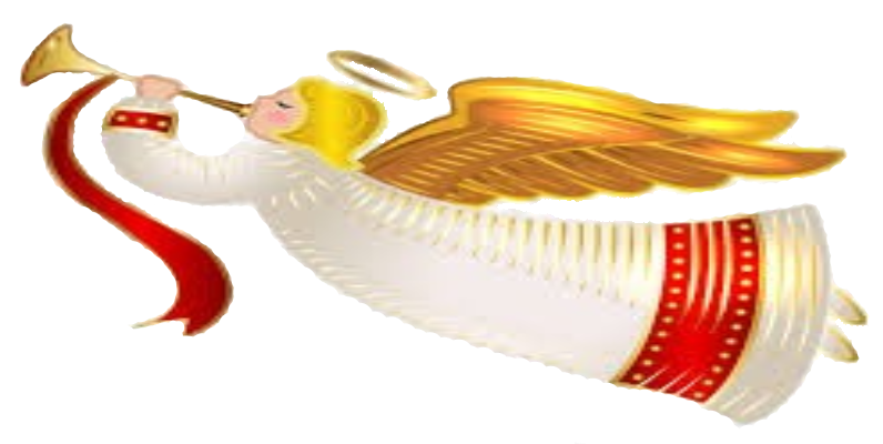 Angel Trumpet