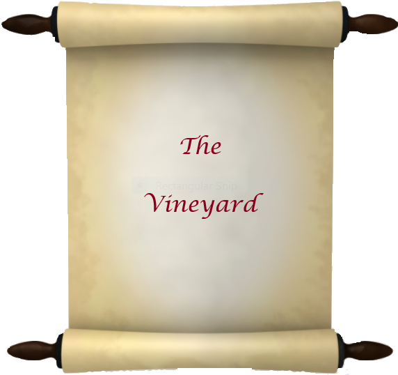The Vineyard